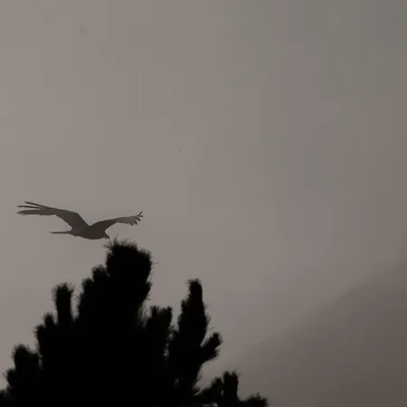 Magic Moments דירה