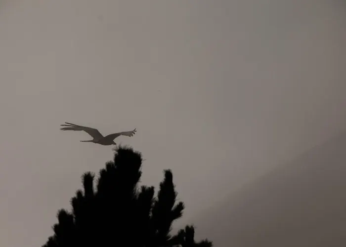 Magic Moments شقة