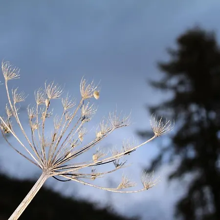 Lägenhet Magic Moments