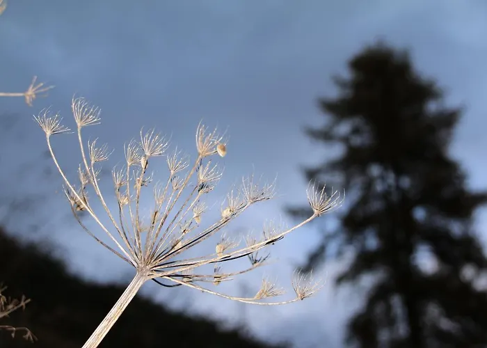 Apartment Magic Moments